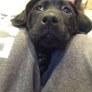 Meet your Posher, Emsie